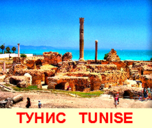 Фото из Туниса - средиземное море, Карфаген, пустыня Сахара