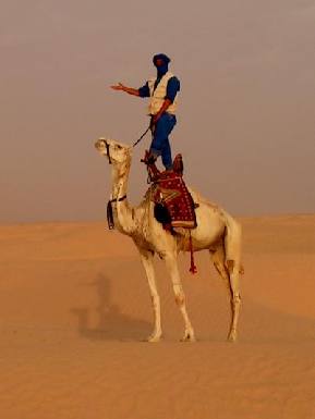 Али Баба в Сахаре